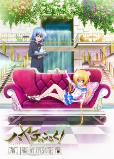 Hayate No Gotoku Can't take my eyes off you!