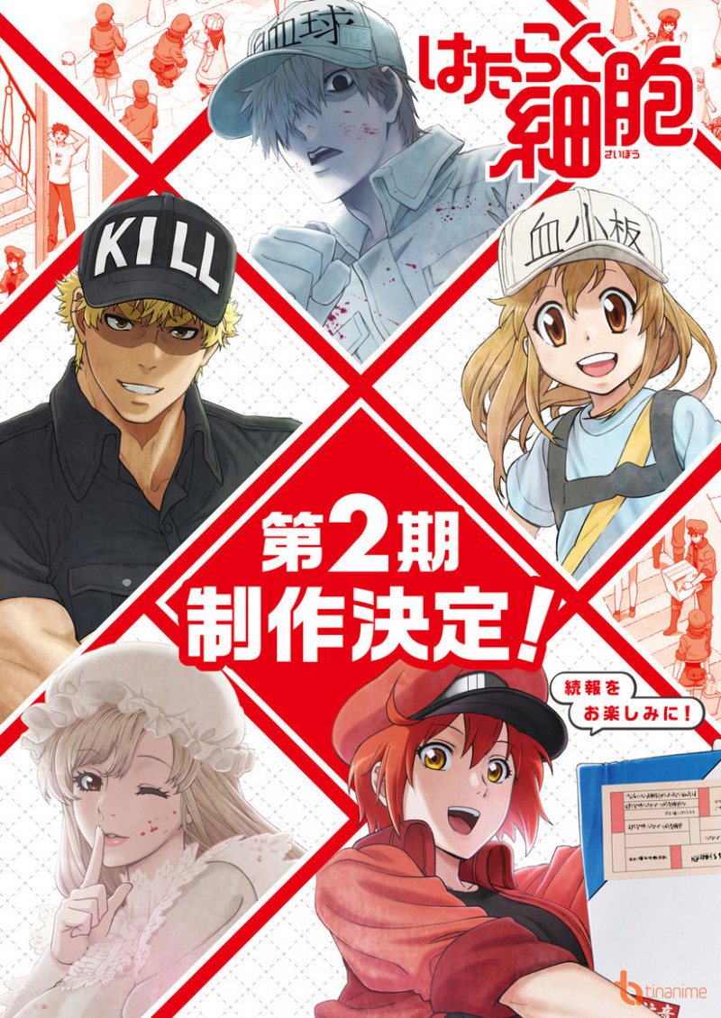 Hataraku Saibou!!, Cells at Work! 2nd Season