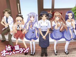 Mayoi Neko Neko Neko Gekijou | Mayoi Neko Neko Neko Gekijo | Stray Cats Cats Cats Theater